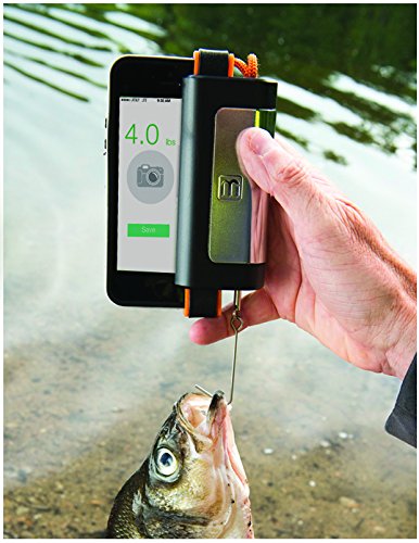 new measure it fish scale